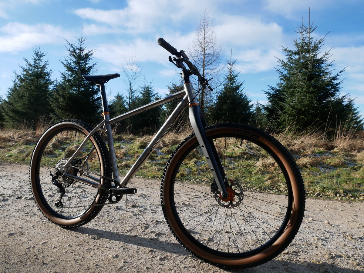 rove 2 bike