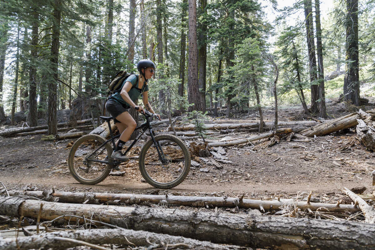 surly karate monkey review 2020
