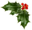 Christmas Opening Times